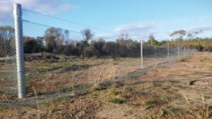 Wire Netting - Morisset Pumps & Rural Supplies